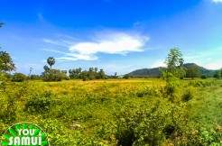 Land in Na Mueang L128